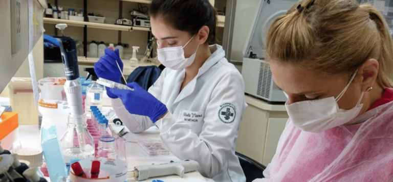 Bio-printed skin could replace animal testing